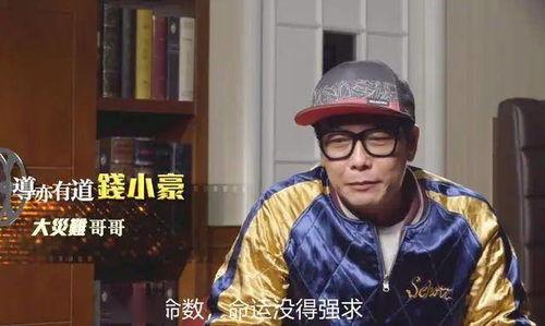 钱小豪爆料天涯视频大全,天涯视频大全背后的精彩故事